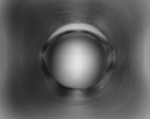 X0000088850176200706151724