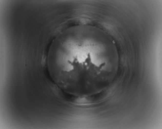 X0000088850177200706151724