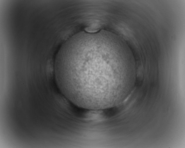 X0000088850179200706151724