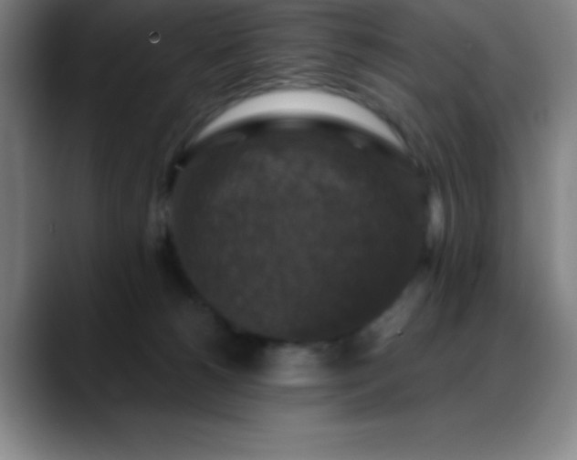 X0000088850180200706151724