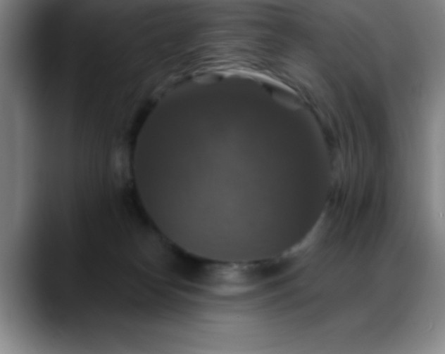 X0000088850182200706151724