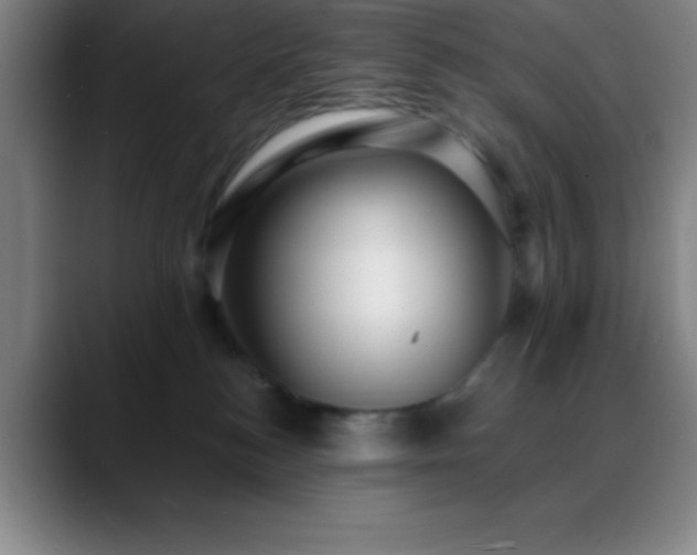 X0000088850184200706151724