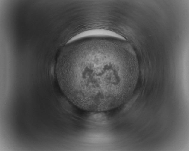 X0000088850185200706151724