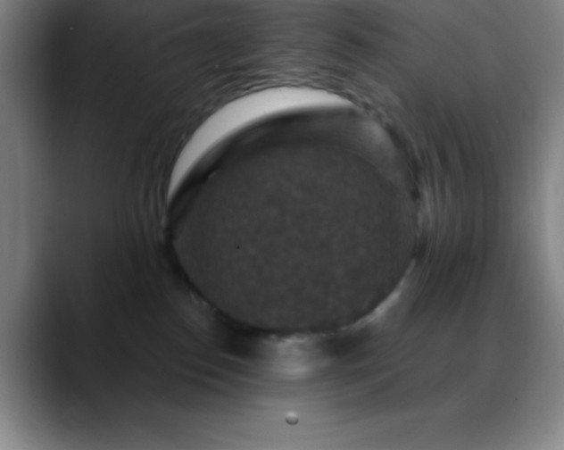 X0000088850186200706151724