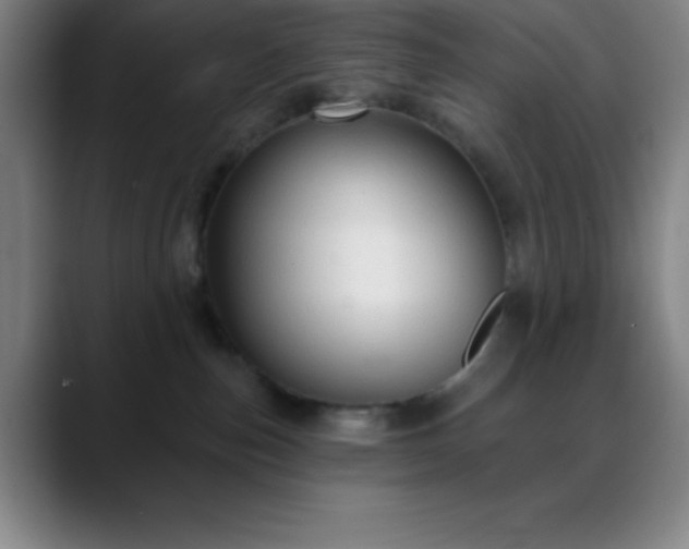 X0000088850187200706151724