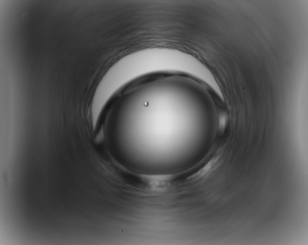 X0000088850188200706151724