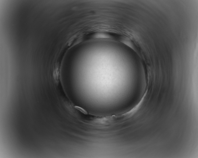 X0000088850190200706151724