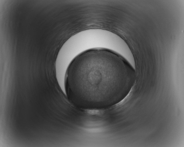 X0000088850192200706151724