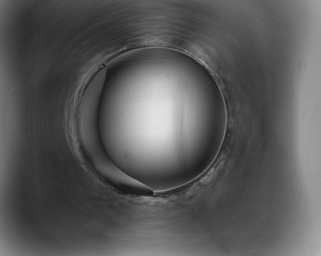 X0000088850193200706151723