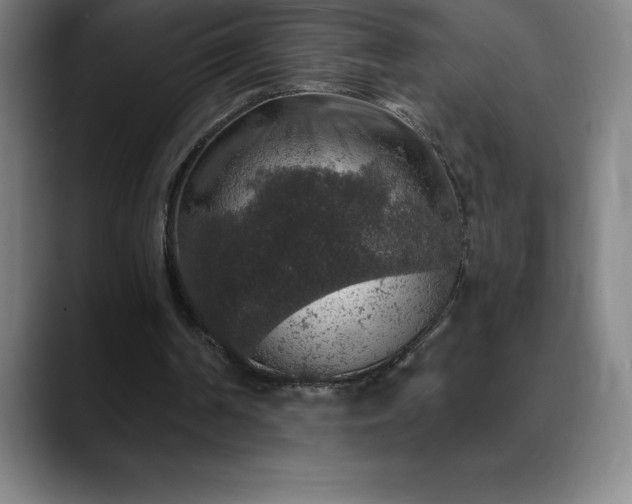 X0000088850194200706151723