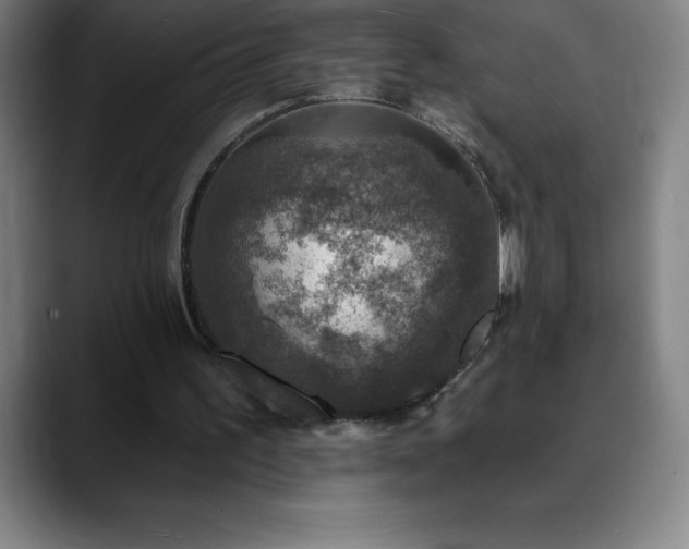 X0000088850195200706151723