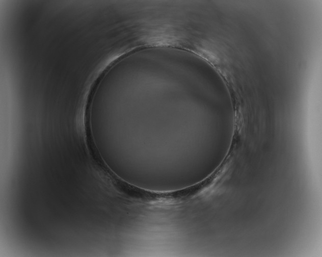 X0000088850196200706151723