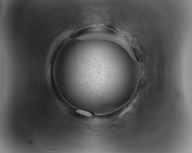 X0000088850197200706151723