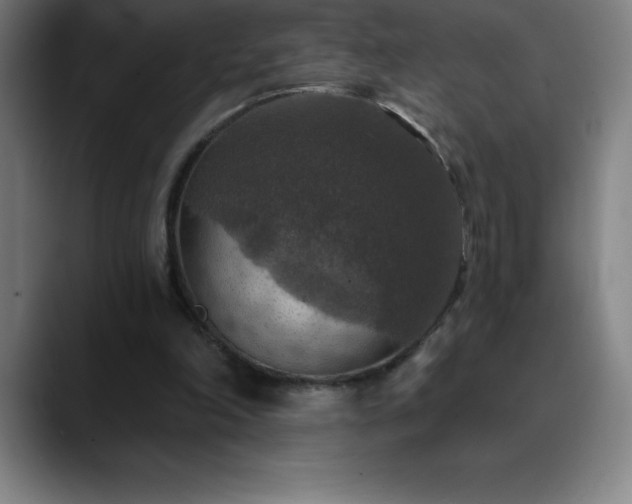 X0000088850198200706151723