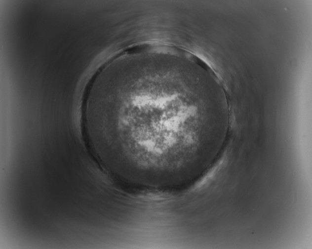 X0000088850199200706151723