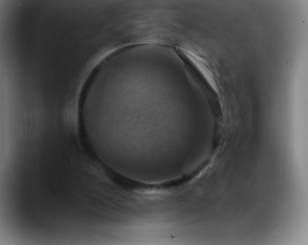 X0000088850200200706151723