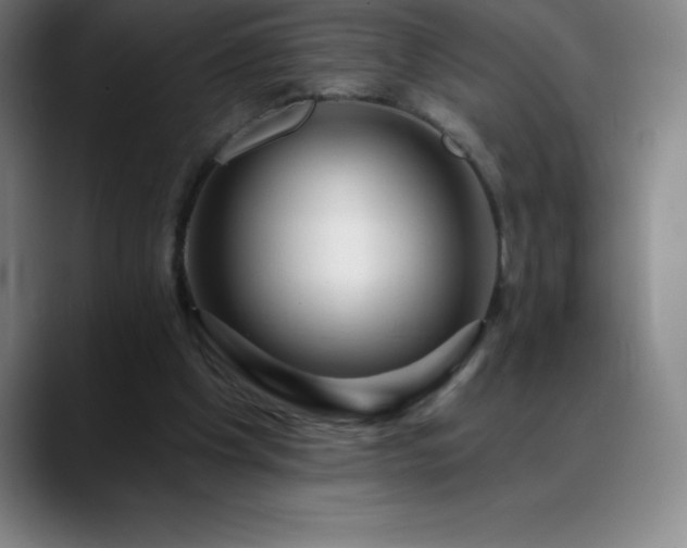 X0000088850201200706151723