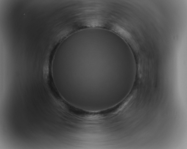 X0000088850202200706151723