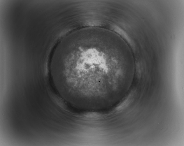 X0000088850203200706151723