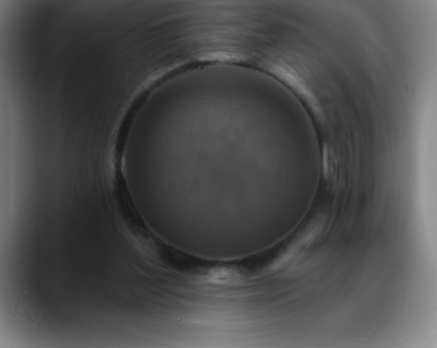 X0000088850204200706151723