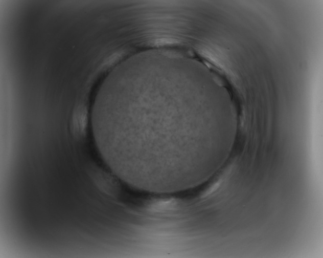 X0000088850206200706151723