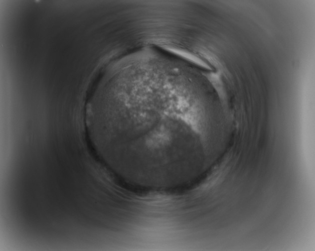 X0000088850207200706151723