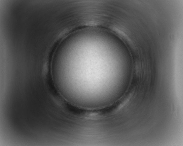 X0000088850208200706151723