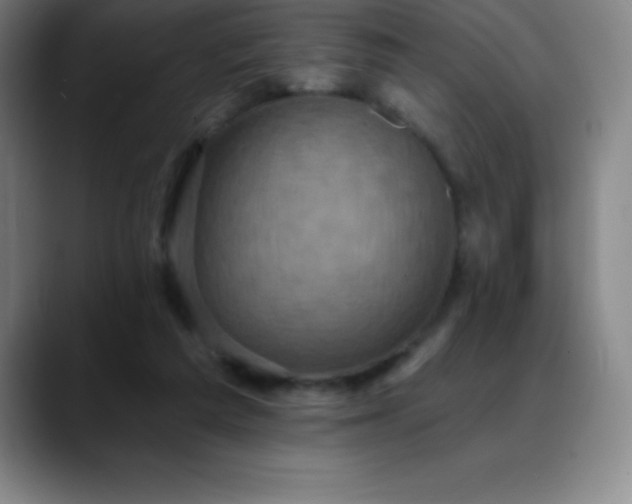 X0000088850209200706151723