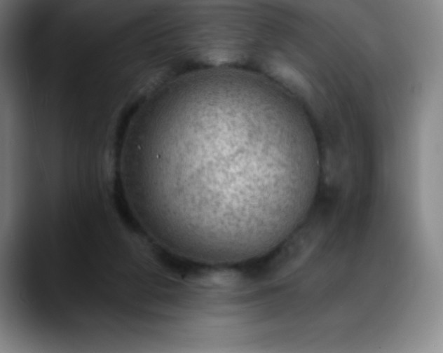 X0000088850210200706151723