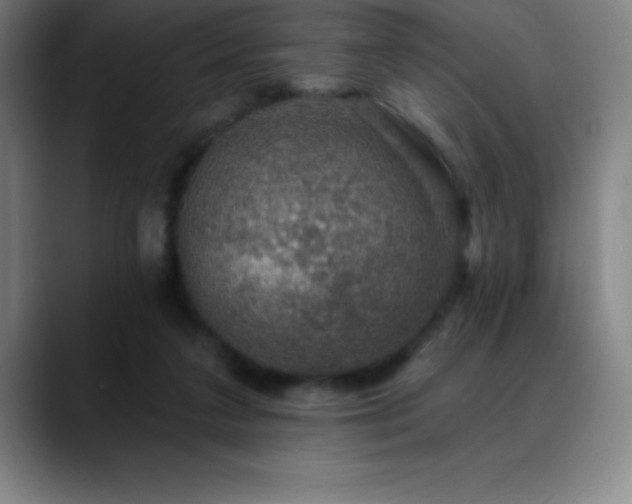 X0000088850211200706151723