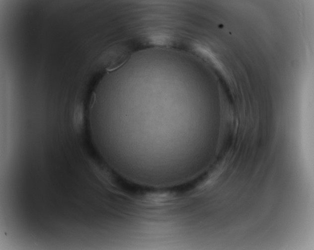 X0000088850213200706151723