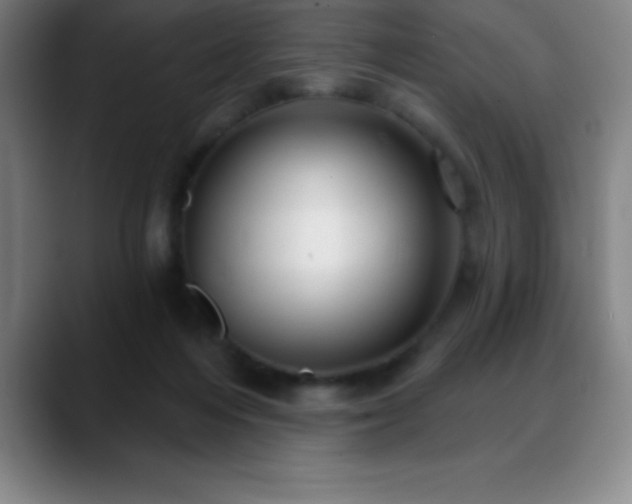 X0000088850216200706151723