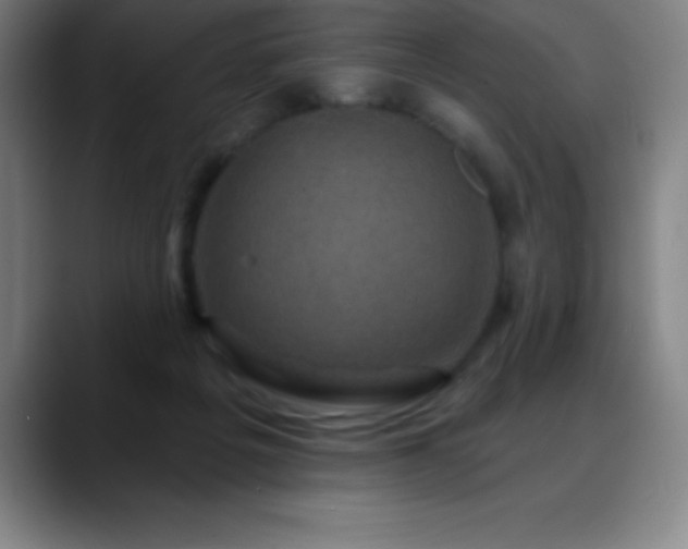 X0000088850217200706151723