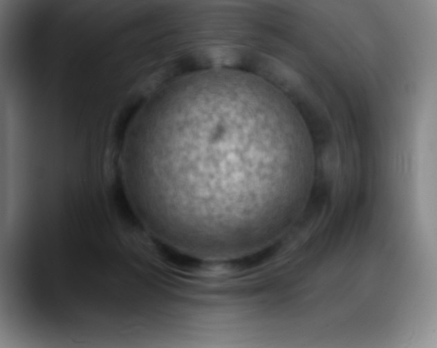 X0000088850218200706151723