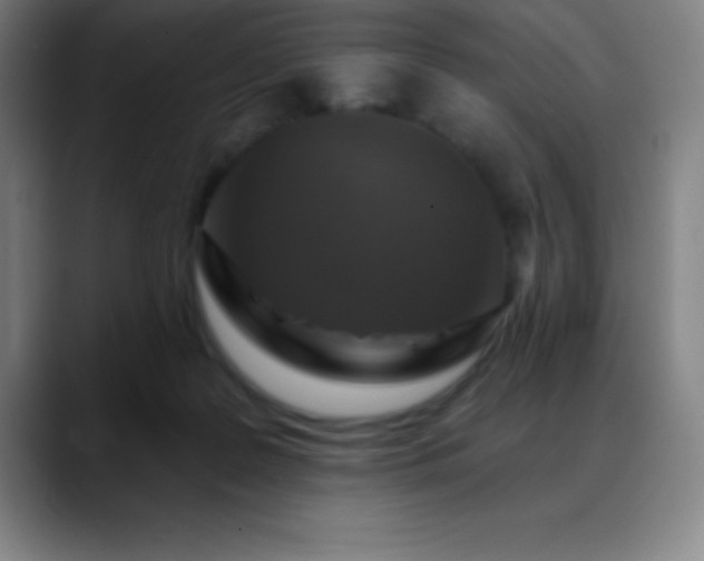 X0000088850219200706151723