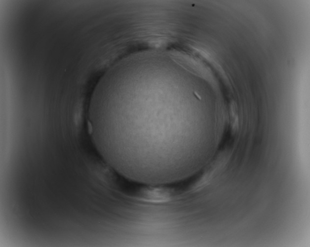 X0000088850221200706151723