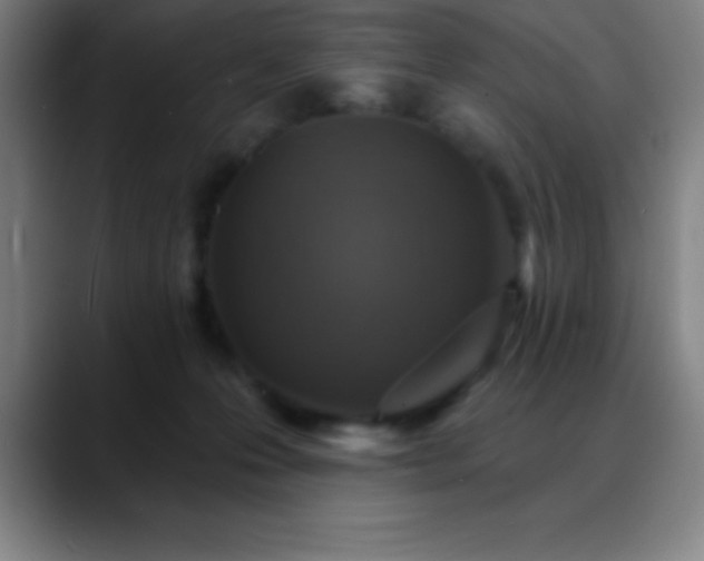 X0000088850223200706151723