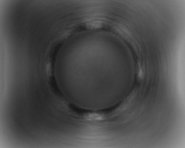 X0000088850224200706151723