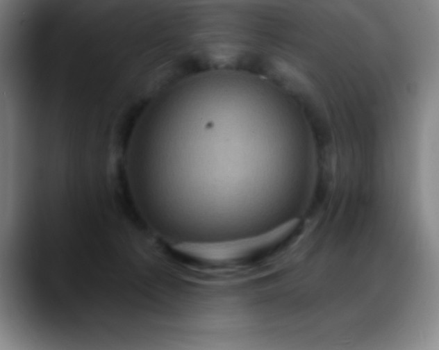 X0000088850225200706151723