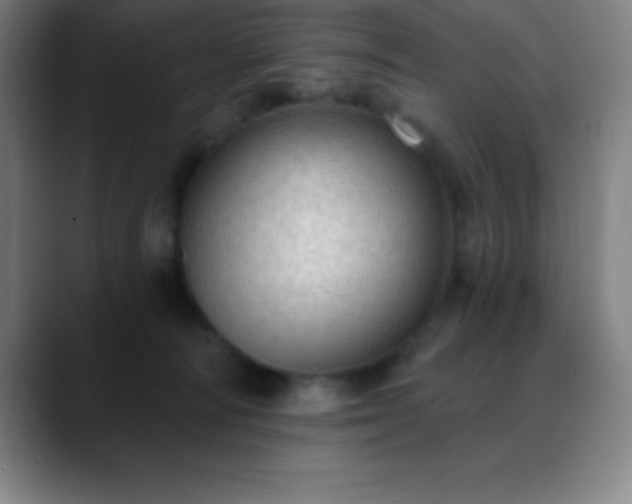 X0000088850226200706151723