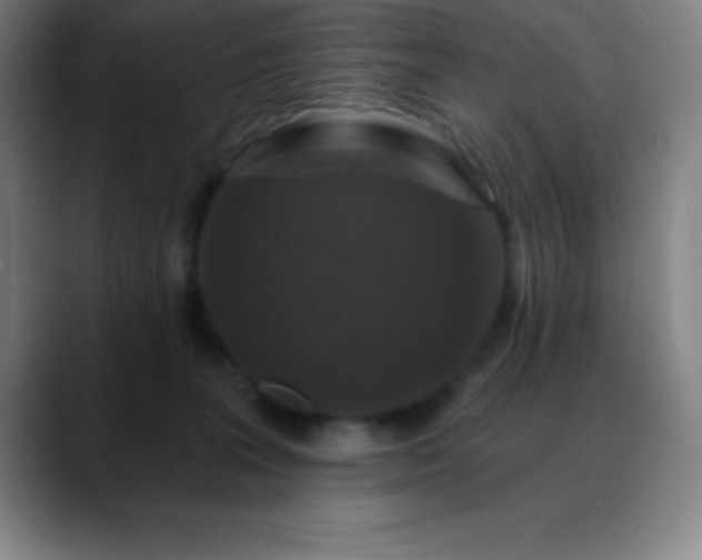 X0000088850227200706151723