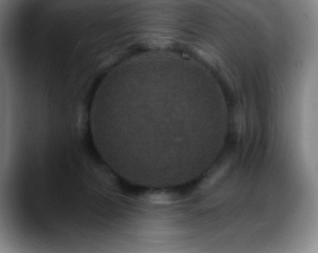 X0000088850228200706151723