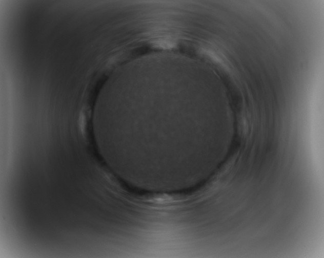 X0000088850229200706151723