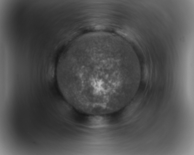 X0000088850230200706151723