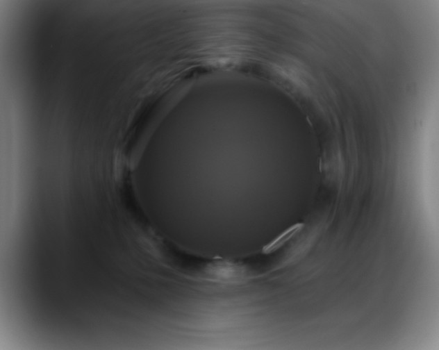 X0000088850231200706151723