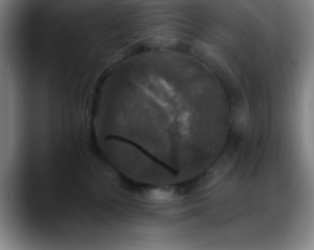 X0000088850232200706151723