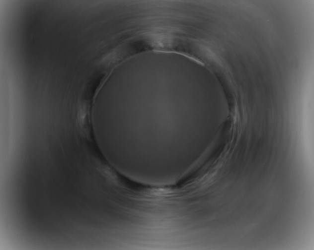 X0000088850233200706151723