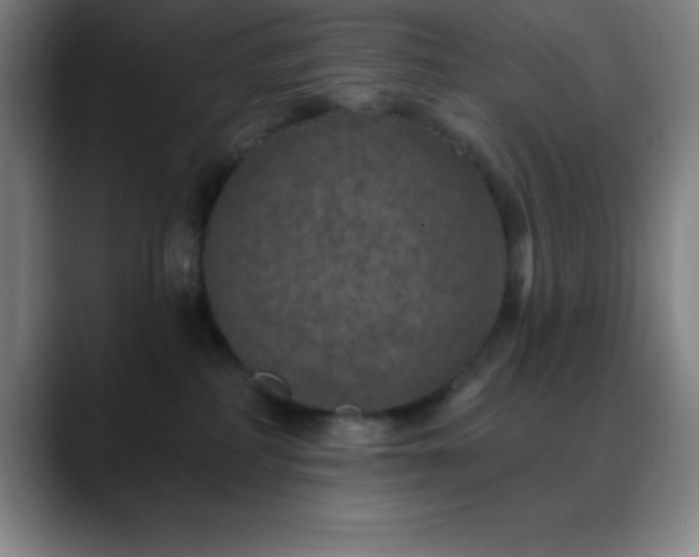 X0000088850234200706151723