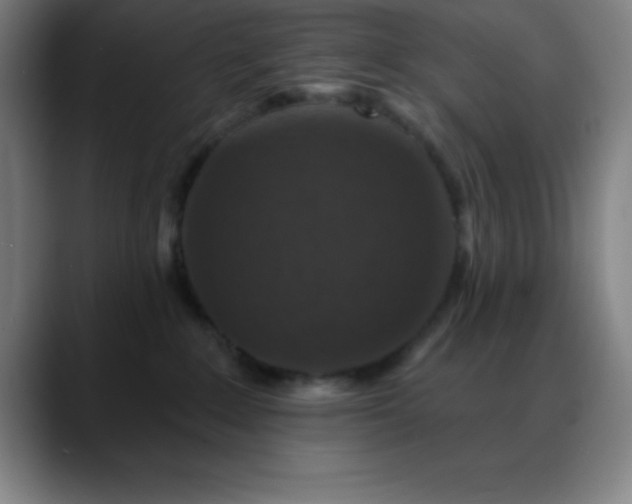 X0000088850235200706151723