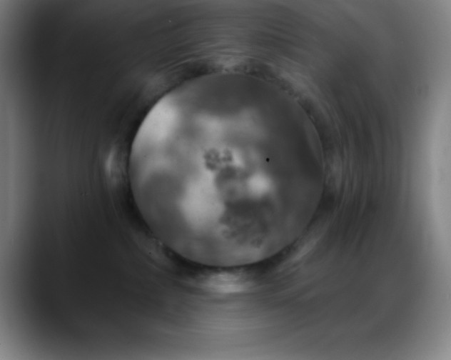 X0000088850236200706151723